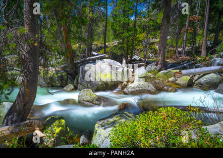 Türkis von Yosemite Creek Water Rapids fließt über große Felsbrocken im Wald entlang der Tioga Pass - Yosemite National Park Landschaften Stockfoto