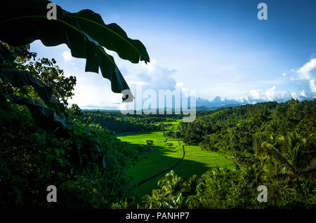 Blick auf sonnigen Reisfeld und grünen Ackerland, mit sanften Hügel in der Ferne - Panay, Philippinen Stockfoto