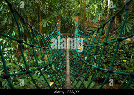 Turqouise Seilbrücke über eine kleine Schlucht in den Hindhede Natur Park, Singapur hängen Stockfoto