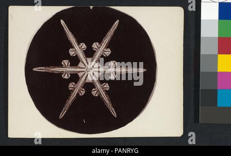 [Snow Crystal]. Artist: Wilson Alwyn Bentley (American, 1865-1931). Abmessungen: Bild: 2 15/16 in. × 3 in. (7,4×7,6 cm): 3 x 4-in. (7,6 × 10,1 cm). Datum: 1890S-1920s. Museum: Metropolitan Museum of Art, New York, USA. Stockfoto