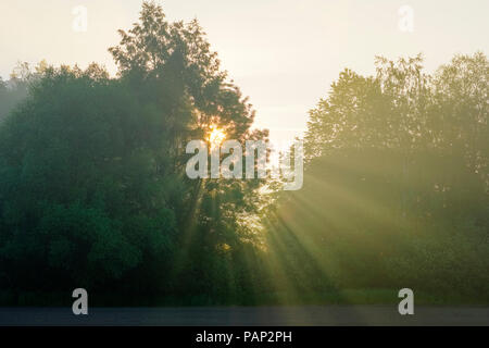 Deutschland, Bayern, Schwaben, Morgennebel bei Sonnenaufgang, Naturpark Augsburg Westliche Wälder Stockfoto