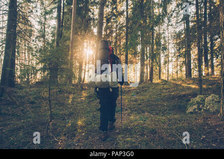 Schweden, Sodermanland, Backpacker wandern in abgelegenen Wald im Gegenlicht Stockfoto