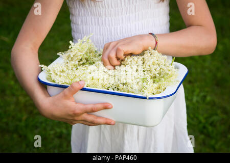 Mädchen, dass Schüssel abgeholt elderflowers, Teilansicht Stockfoto