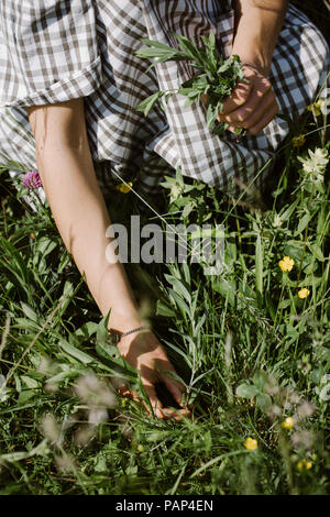 Italien, Venetien, junge Frau zupfen Blumen und Kräuter im Feld, Nahaufnahme Stockfoto