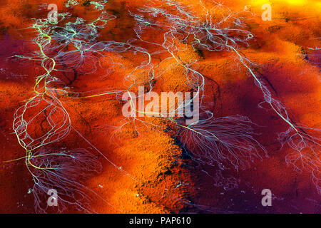 Spanien, Andalusien, Rio Tinto Stockfoto