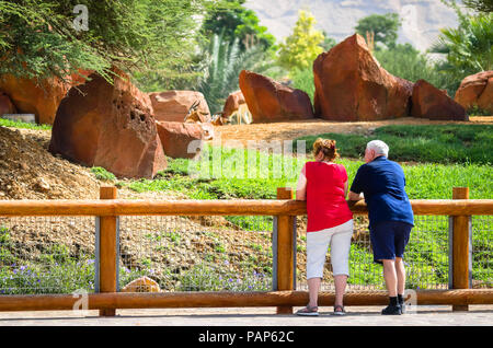 Ein altes Ehepaar beobachten die Gazellen in den Zoo. Stockfoto