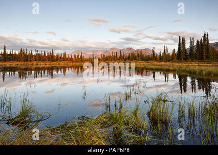 USA, Alaska, Denali Straße im Herbst Stockfoto