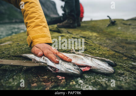 Norwegen, Lofoten, Moskenesoy, junge Männer Reinigung frisch gefangenen Fisch bei Horseid Strand Stockfoto