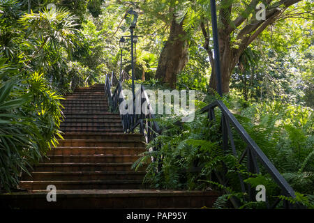 Eine gemauerte Treppe nach oben durch den Fort Canning Park, einem öffentlichen Naturpark zum Wandern im Dschungel von Singapur führende Stockfoto