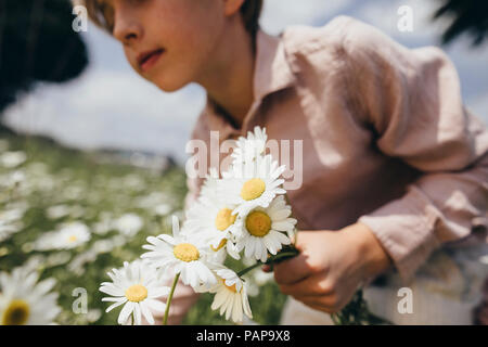 Junge Blumen pflücken auf einer Wiese Stockfoto