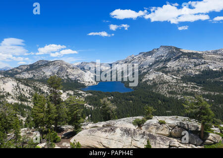 Tenaya Lake und Alpine Landschaft, von oben, aus Olmsted Point - Yosemite National Park Stockfoto