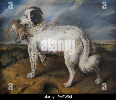 Sir Edwin Landseer Henry - der Meister (Venus ein Landseer Neufundländer mit einem Kaninchen) Stockfoto