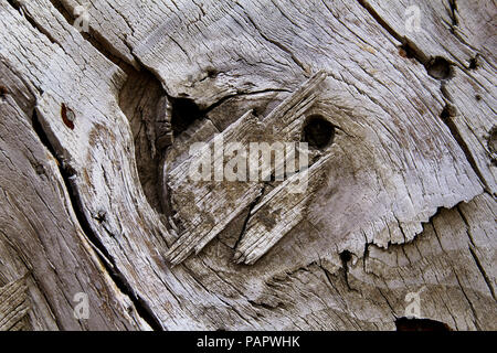 Alten rustikalen Holzmöbeln Textur auf der Tür Stockfoto