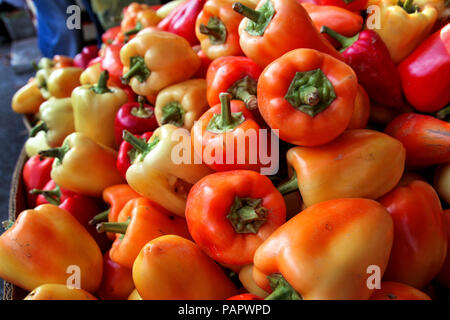 Organische frische bunte Paprika auf Stadt grüner Markt Stockfoto