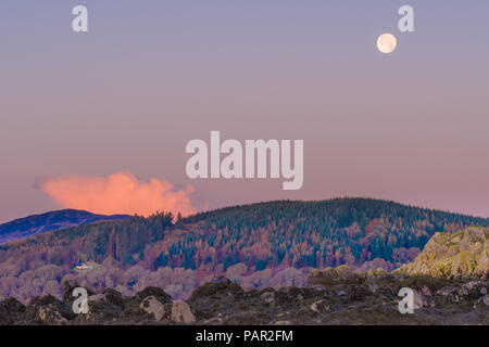 Der Mond zeigt oben die Farben des Herbstes neben einer Red Cloud spiegelt das frühe Morgenlicht Stockfoto