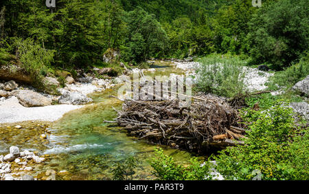 Idyllisch gelegenen Fluss in Lepena Tal, Soca - Bovec in Slowenien. Aufgetürmt Holz- dam ähnlich Beaver Dam auf dem Fluss Lepenca. Wunderschöne Landschaft Szene Stockfoto