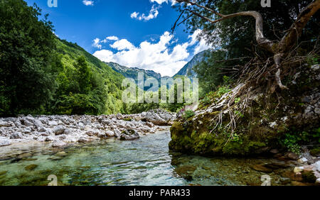 Idyllisch gelegenen Fluss in Lepena Tal, Soca - Bovec in Slowenien. In Richtung Sunik wasser Grove des Flusses Lepenca. Wunderschöne Landschaft Szene mit Stockfoto