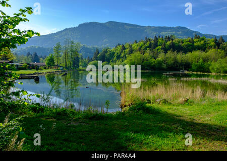 Deutschland, Bayern, Oberbayern, Chiemgau, Achental, Mettenham, See Zellersee Stockfoto