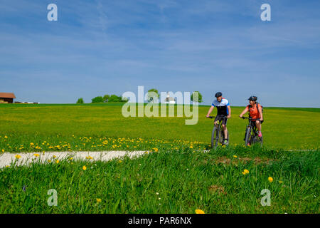 Deutschland, Oberbayern, Schalchen, Chiemgau, Radfahrer Stockfoto