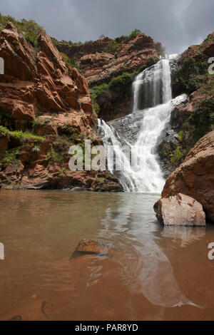 Witpoortjie Wasserfall, Walter Sisulu Nationalen Botanischen Garten, Johannesburg, Gauteng, Südafrika Stockfoto