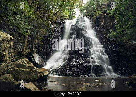 Wasserfall bei Hogsback, östliches Kap, Südafrika Stockfoto