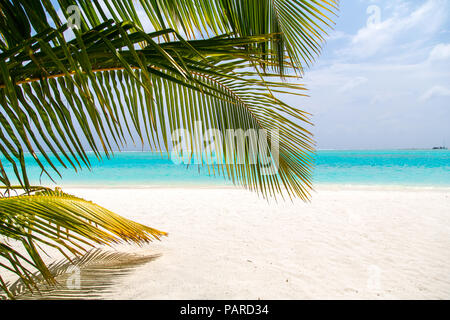 Malediven Beach Meeru Stockfoto