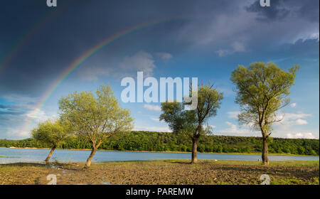 Rainbow und Bäume am See Stockfoto