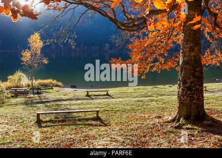 Eine Bank unter dem Baum am See inmitten der Berge im Licht des Sonnenuntergangs. Stockfoto