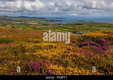 Am Aussichtspunkt Braich y Pwll Stockfoto