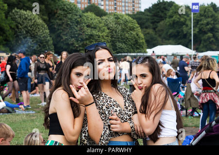 Sehr große Massen genießen Sie ein tolles Wochenende mit live Musik im Liverpool International Music Festival 2018 in Sefton Park Liverpool UK. Stockfoto