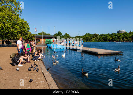 Menschen die Fütterung der Vögel, der Serpentine, Hyde Park, London, England Stockfoto