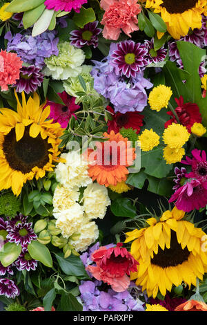 Schnittblume Anzeige an der RHS Tatton Park Flower Show 2018. Cheshire, Großbritannien Stockfoto