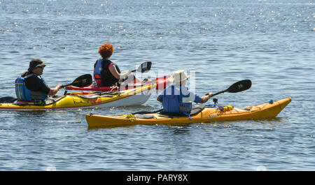 Drei Personen in Kajaks paddeln auf ruhigem Wasser in Cardiff Bay Stockfoto