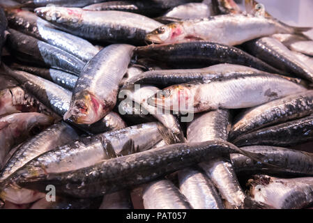 Eine Anzeige der Viel frische Sardinen auf Eis, in einem Markt mit frischen Lebensmitteln, Biarritz, Frankreich. Stockfoto