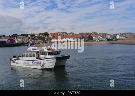 Seafari Explorer Abfahrt Anstruther Fife Schottland Juli 2018 Stockfoto