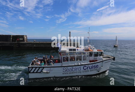 Seafari Explorer Abfahrt Anstruther Fife Schottland Juli 2018 Stockfoto