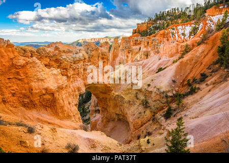 Bryce Canyon National Park, Utah, USA an der natürlichen Brücke. Stockfoto