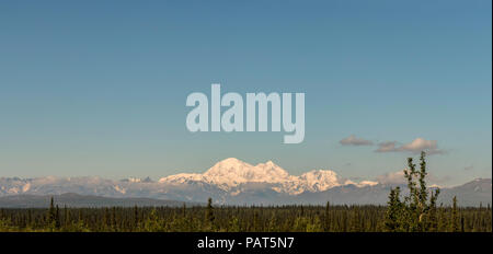 Ansicht der Denali (Mount McKinley), "Die hohe Eins" in Athabascan, vor blauem Himmel im Sommer. Der höchste Berg in Nordamerika, Alaska, USA. Stockfoto