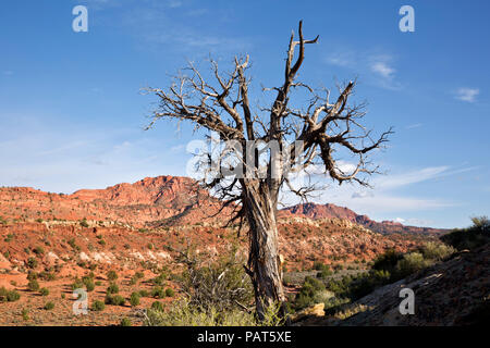 AZ 00174-00 ... Arizona - Blick auf die House Rock Valley und die Südlichen Coyote Buttes in der Nähe des nördlichen Ende der Arizona National Scenic Trail in Th Stockfoto