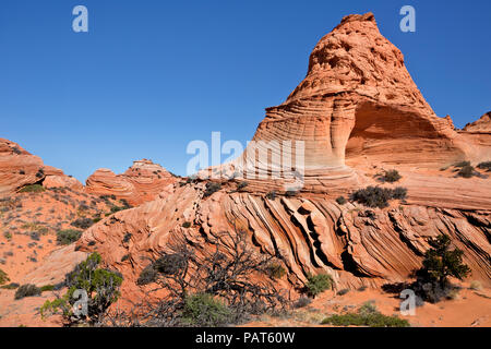 AZ 00187-00 ... ARIZONA-Cross-bedded layes aus Sandstein mit Verdichtung Bands in den Coyote Buttes South in der Paria Canyon - Vermilion Cliffs Wildern Stockfoto