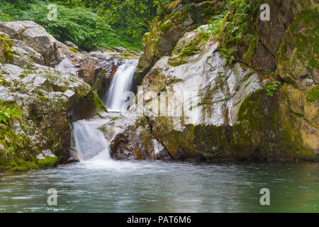 Schöner kleiner Wasserfall auf Felsen umgeben von Wald Stockfoto