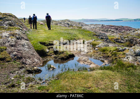 Wanderer Wandern auf dem Anglesey Coastal Path um Cemlyn Bucht im Sommer. Cemaes, Isle of Anglesey, Wales, Großbritannien, Großbritannien Stockfoto