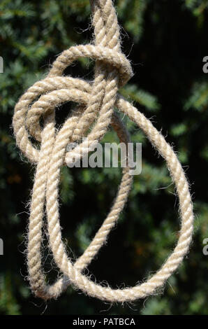 Doppelter palstek Kraftheber auf ein hanfseil. Stockfoto