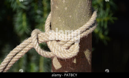 Doppelter palstek Kraftheber auf ein hanfseil. Stockfoto