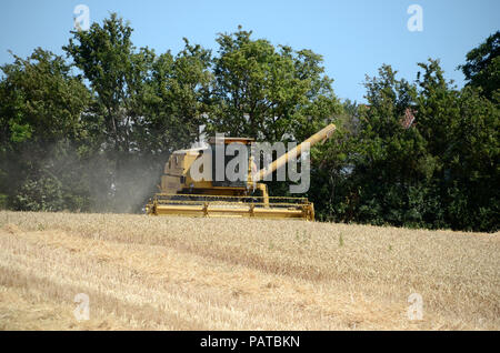 Lambjerg, Dänemark - 23. Juli 2018: feldhäcksler Mähdrescher bei der Arbeit in einem Weizenfeld. Stockfoto