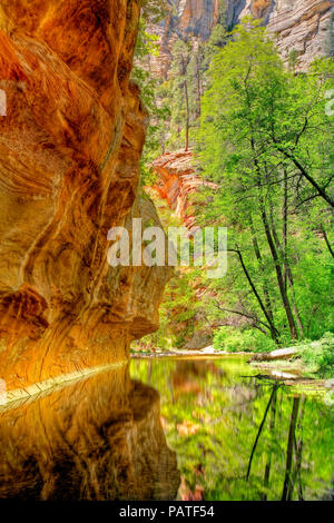 Bäume und Sandstein in Oak Creek, Sedona, Arizona, USA widerspiegelt Stockfoto