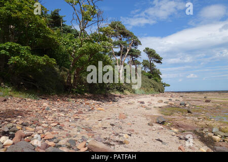 Tyninghame, East Lothian Stockfoto