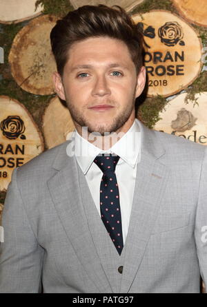 Horan & Rose Gala Dinner im The Grove Hotel, Chandler's Cross, Hertfordshire bietet: Niall Horan Wo: Chandlers Cross, Großbritannien Wann: 23 Jun 2018 Credit: WENN.com Stockfoto