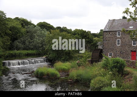 River Bush Stockfoto