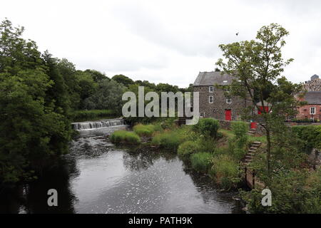 River Bush Stockfoto